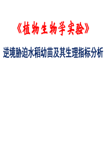 5逆境胁迫水稻幼苗及其生理指标分析