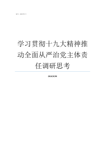 学习贯彻十九大精神推动全面从严治党主体责任调研思考