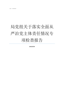 局党组关于落实全面从严治党主体责任情况专项检查报告