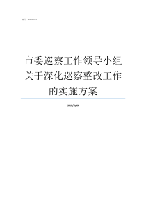 市委巡察工作领导小组关于深化巡察整改工作的实施方案市委巡察办是什么级别