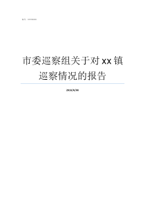 市委巡察组关于对xx镇巡察情况的报告