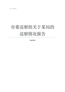 市委巡察组关于某局的巡察情况报告市委巡察组