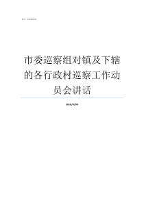 市委巡察组对镇及下辖的各行政村巡察工作动员会讲话市委巡察组