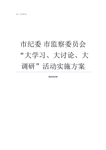 市纪委nbsp市监察委员会大学习大讨论大调研活动实施方案