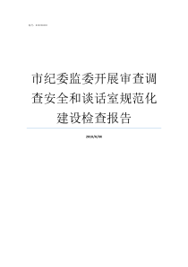 市纪委监委开展审查调查安全和谈话室规范化建设检查报告