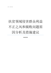 扶贫领域侵害群众利益不正之风和腐败问题原因分析及措施建议