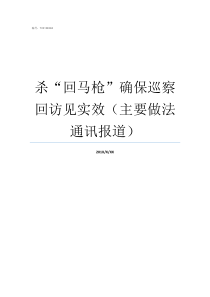 杀回马枪确保巡察回访见实效主要做法通讯报道