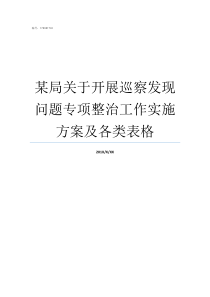 某局关于开展巡察发现问题专项整治工作实施方案及各类表格巡察