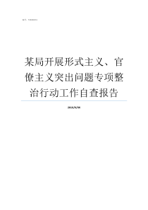 某局开展形式主义官僚主义突出问题专项整治行动工作自查报告