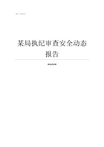 某局执纪审查安全动态报告执纪审查安全整改报告