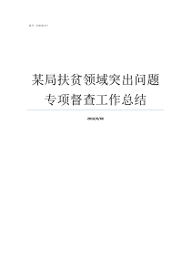 某局扶贫领域突出问题专项督查工作总结扶贫领域突出问题整改