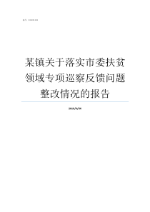 某镇关于落实市委扶贫领域专项巡察反馈问题整改情况的报告贯彻落实中央省委市委