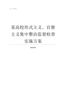 某高校形式主义官僚主义集中整治监督检查实施方案论形式主义和官僚主义