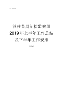 派驻某局纪检监察组2019年上半年工作总结及下半年工作安排派驻纪检监察组