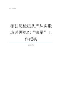 派驻纪检组从严从实锻造过硬执纪铁军工作纪实