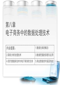 电子商务中的数据处理技术(数据仓库、数据挖掘、BI、OLAP)