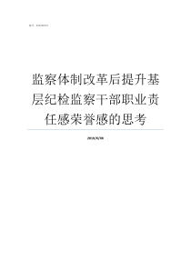 监察体制改革后提升基层纪检监察干部职业责任感荣誉感的思考