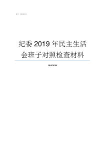 纪委2019年民主生活会班子对照检查材料2019纪检监察工作要点