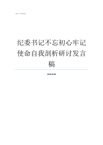 纪委书记不忘初心牢记使命自我剖析研讨发言稿牢记初心不忘使命发言材料