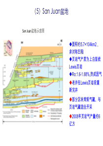 页岩气发展现状及中国石油下一步工作建议2