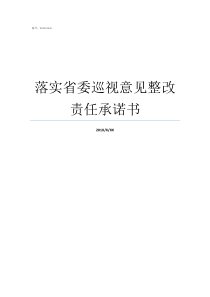 落实省委巡视意见整改责任承诺书对省委巡视整改的认识