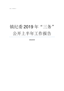 镇纪委2019年三务公开上半年工作报告2019纪检监察工作要点