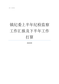 镇纪委上半年纪检监察工作汇报及下半年工作打算