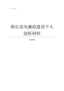 镇长党风廉政建设个人剖析材料