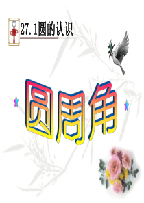 27.1.3圆周角课件(华师大版九年级下)