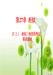 27.2.1相似三角形的判定(第四课时)