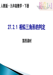 27.2.1相似三角形的判定的小结复习(4)