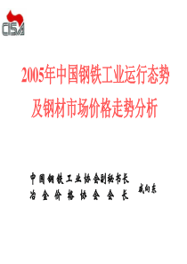 lcj_-戚向东-2005年中国钢铁工业运行态势及钢材市场价格走势分析