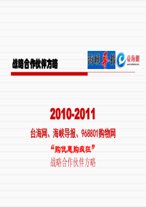 2010-2011台海网战略合作伙伴方案