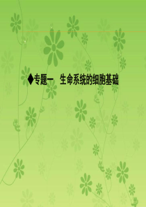 【导与练】2016届高三二轮复习生物课件 专题一生命系统的细胞基础 小专题1细胞的分子组成