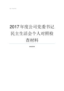 2017年度公司党委书记民主生活会个人对照检查材料A公司2016