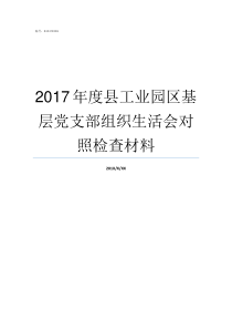 2017年度县工业园区基层党支部组织生活会对照检查材料2019年度