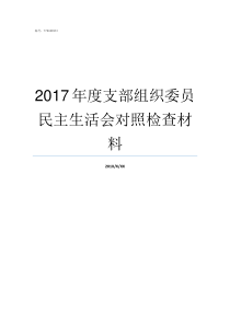 2017年度支部组织委员民主生活会对照检查材料支部召开