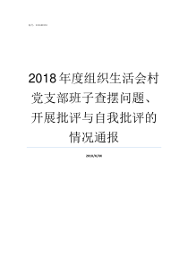 2018年度组织生活会村党支部班子查摆问题开展批评与自我批评的情况通报