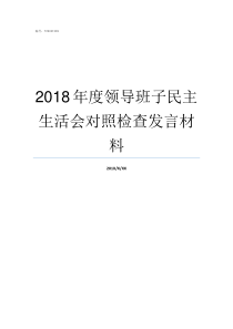 2018年度领导班子民主生活会对照检查发言材料