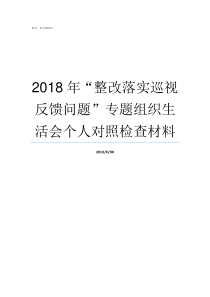 2018年整改落实巡视反馈问题专题组织生活会个人对照检查材料