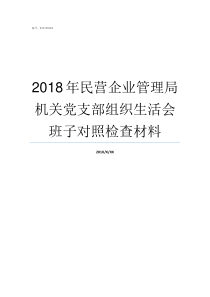 2018年民营企业管理局机关党支部组织生活会班子对照检查材料2018年民营企业数量