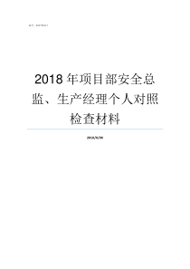 2018年项目部安全总监生产经理个人对照检查材料