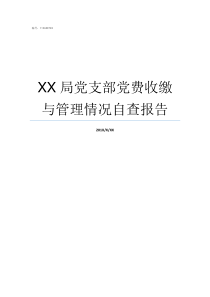 XX局党支部党费收缴与管理情况自查报告