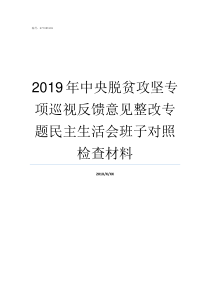 2019年中央脱贫攻坚专项巡视反馈意见整改专题民主生活会班子对照检查材料2019脱贫