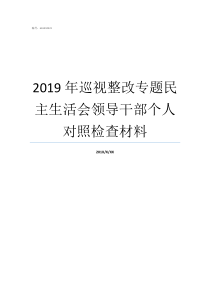 2019年巡视整改专题民主生活会领导干部个人对照检查材料