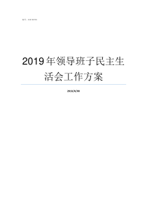 2019年领导班子民主生活会工作方案