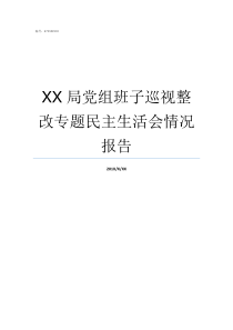 XX局党组班子巡视整改专题民主生活会情况报告局党组班子的缺点