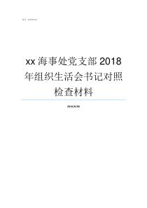 xx海事处党支部2018年组织生活会书记对照检查材料海事处与海事局