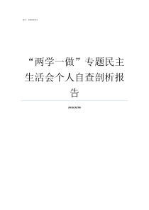 两学一做专题民主生活会个人自查剖析报告