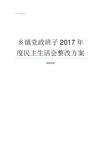 乡镇党政班子2017年度民主生活会整改方案